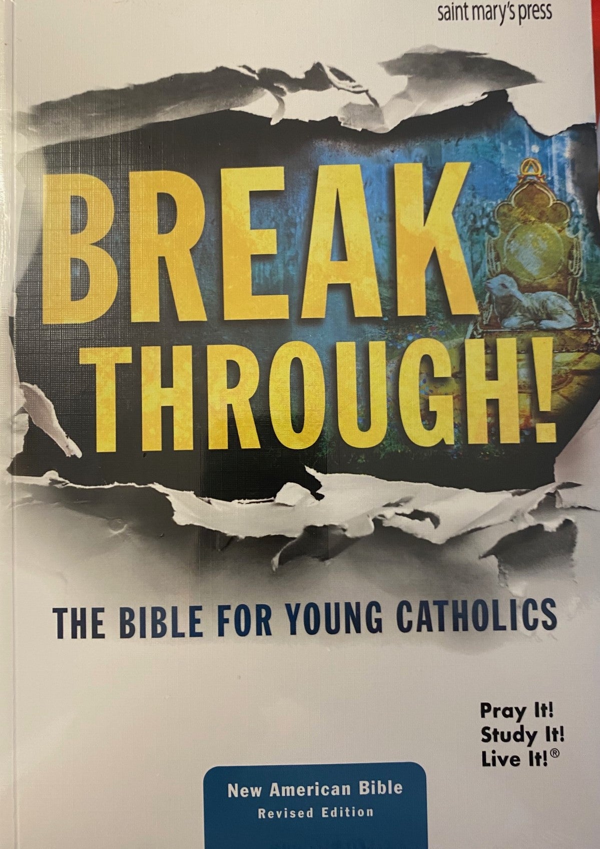 Breakthrough! The Bible for Young Catholics