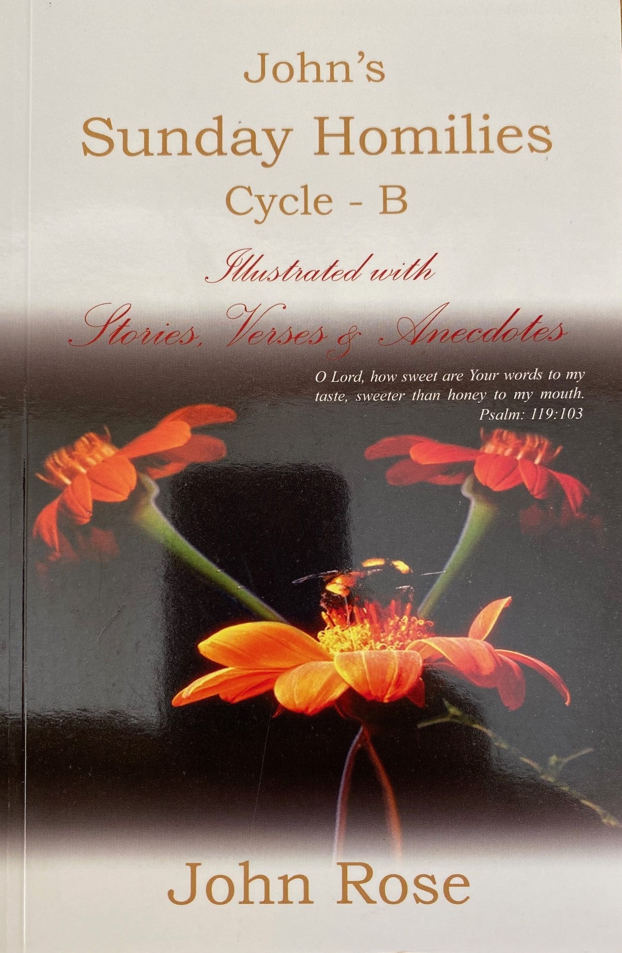 John's Sunday Homilies Cycle B