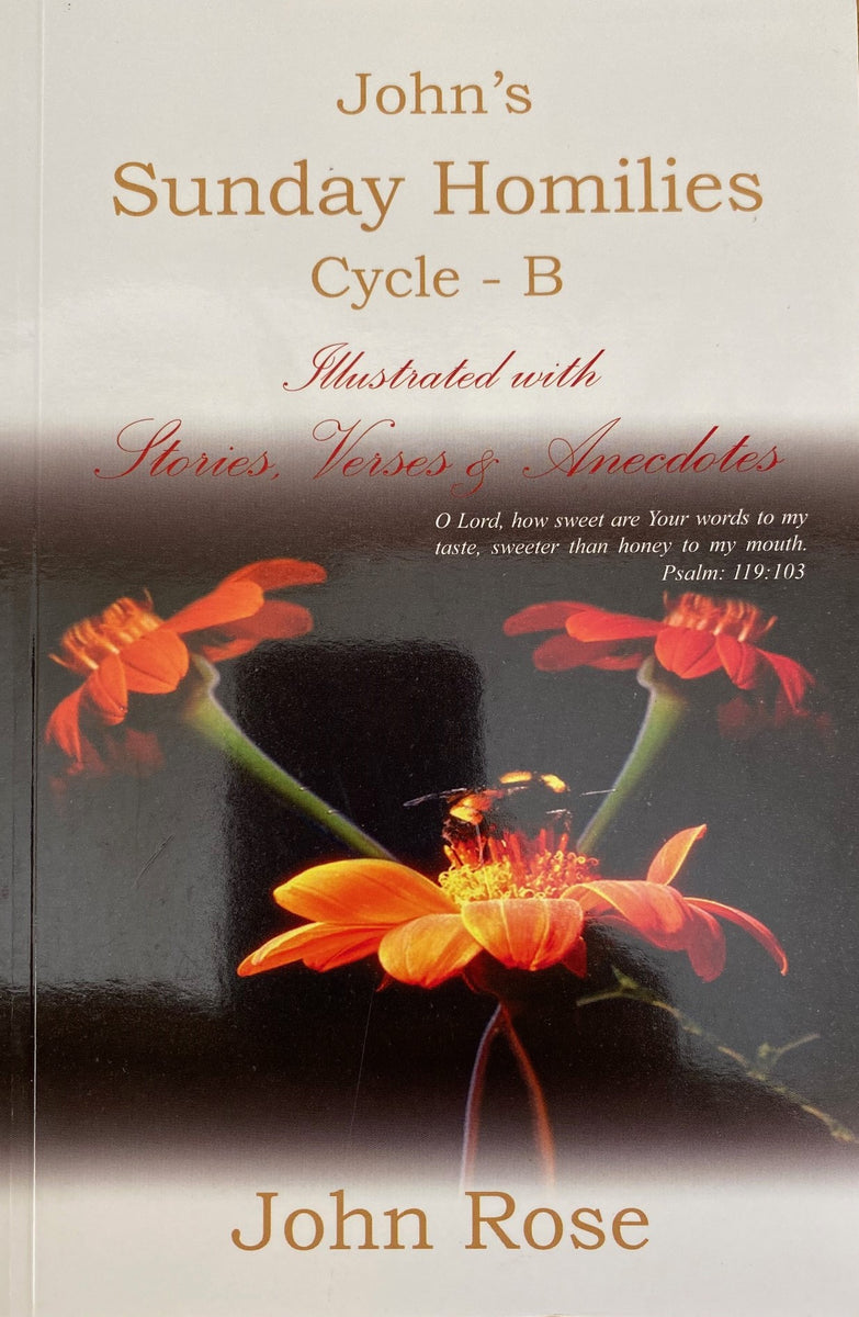 John's Sunday Homilies Cycle B – The Catholic Bookshop