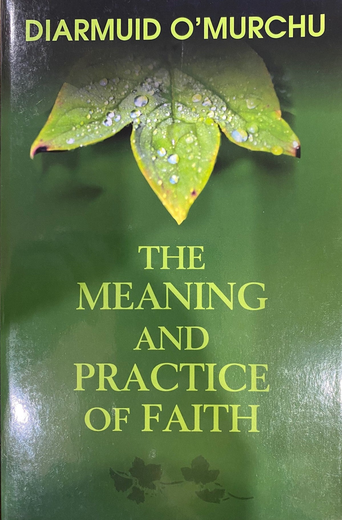 The Meaning and Practice of Faith